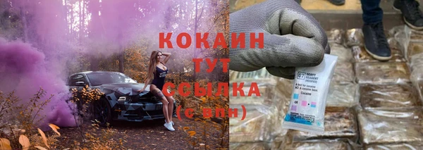 спайс Касимов
